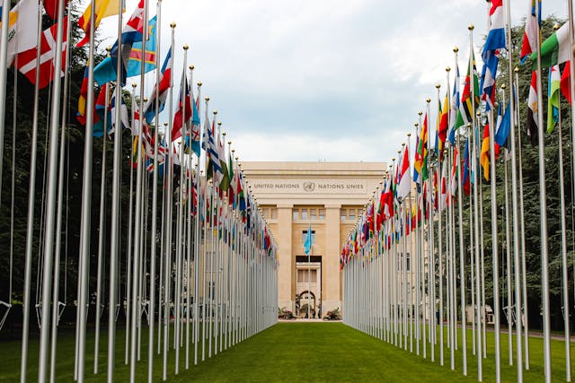 Flag of different countries UN members